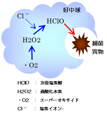 好中球.bmp